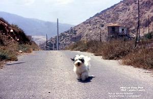 MERS EL KEBIR F MILOU AU VIEUX PORT ET L ASCENSEUR 1964